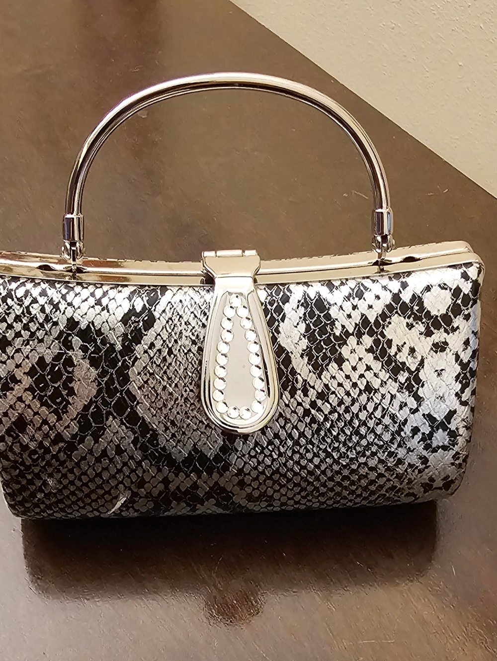 Silver Snake-Print Hard Case Evening bag
